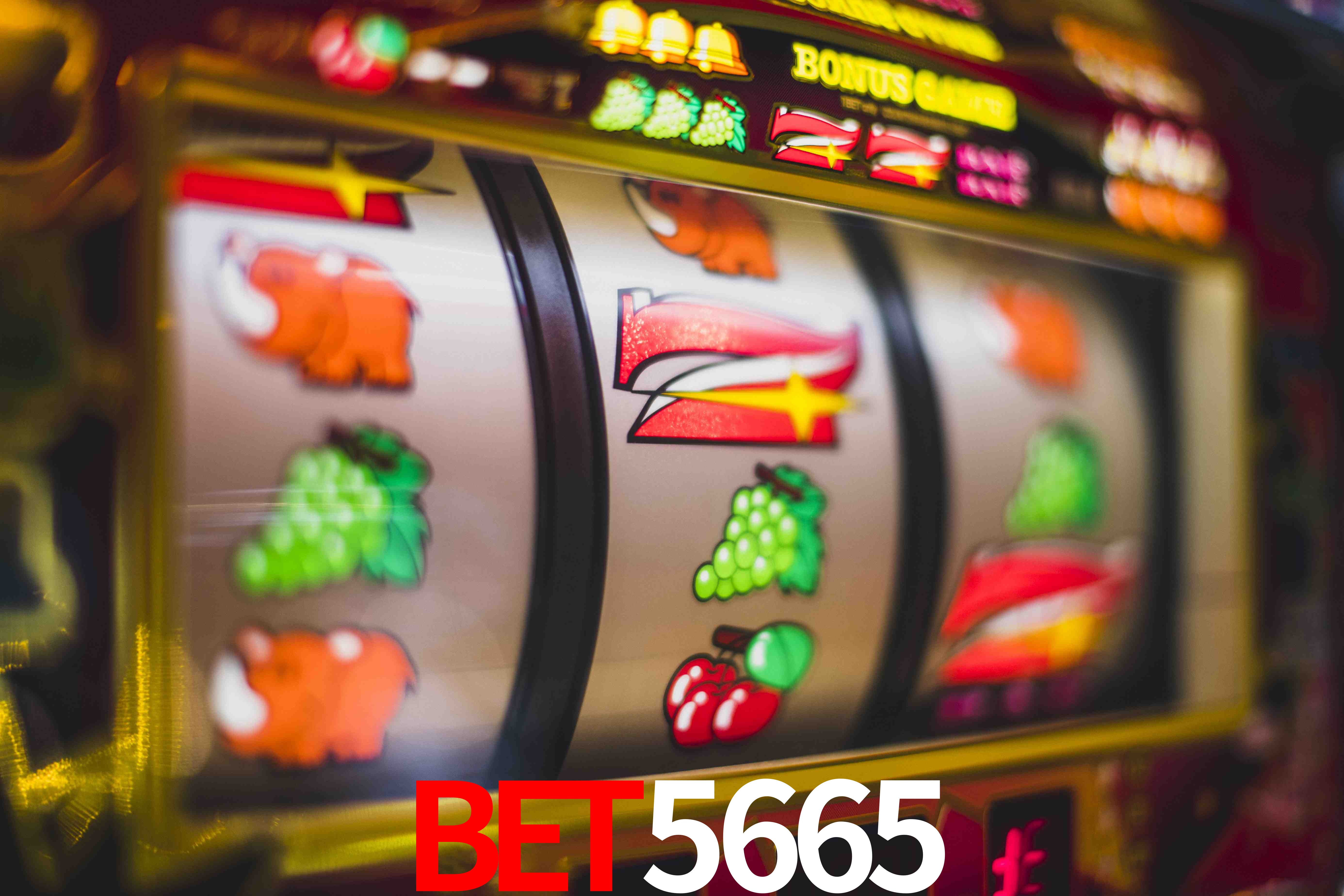 Welcome Bonus bet5665