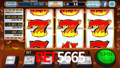 A Experiência Imersiva dos Cassinos Ao Vivo no bet5665